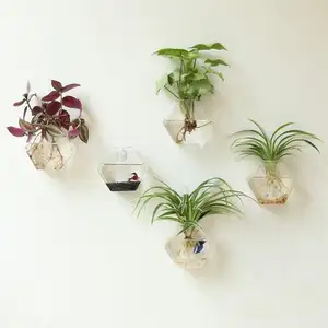 Nhà trang trí tường trang trí hình học sexangle kính tàu tường dán trồng chậu hoa/nước trồng bình