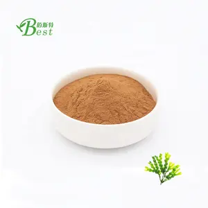 Bladderwrack powder/bladderwrack extract/fucus vesiculosus extract 10:1