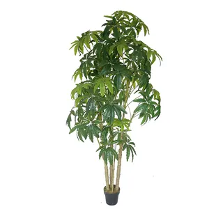 2.2m Dizygotheca Elegantissima 키 가짜 식물 스탠드