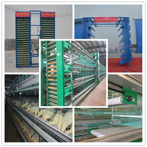 Equipos de granja avícola galvanizado alambre soldado jaulas de <span class=keywords><strong>pollo</strong></span> para la venta en <span class=keywords><strong>el</strong></span> sur de África - Product Image 3
