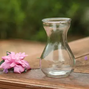 透明玻璃花瓶水培风信子圆形玻璃瓶花瓶