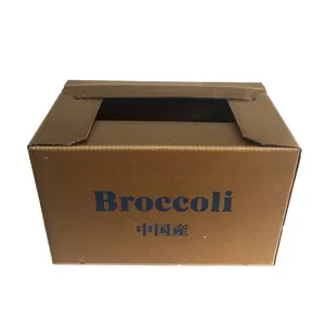 Caja de transporte corrugada de 5 capas de doble pared de pollo, envío en frío, caja de cera con logotipo personalizado plegable personalizable
