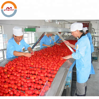 Ligne de production automatique de ketchup de petite taille, équipement de transformation automatique de ketchup de petite taille, machine, machinerie à vendre