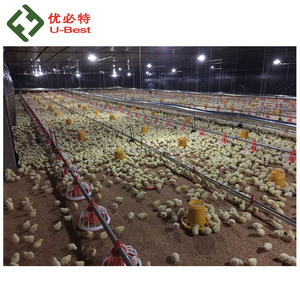 Mặt đất Sàn Gà Thịt Nuôi Thiết Bị với Khoan/Nạp pan/Núm Vú Uống/Nón Fan/Thức Ăn Sensor/làm mát pad/Rèm Cửa - Product Image 1