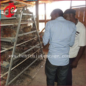 Venta caliente malla de alambre soldado con autógena batería capa de granja para sri lanka aves de caza jaula de pollo con gran precio - Product Image 3
