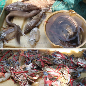 Bán Buôn PE Nylon Tàu Dài Màu Xanh Lá Cây Gấp Cua Cá Bẫy - Product Image 6