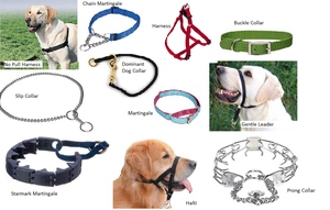 Kingtale Accessoires <span class=keywords><strong>pour</strong></span> animaux de compagnie Collier de martingale réglable <span class=keywords><strong>en</strong></span> nylon <span class=keywords><strong>pour</strong></span> <span class=keywords><strong>chien</strong></span> Accessoires <span class=keywords><strong>pour</strong></span> <span class=keywords><strong>chien</strong></span> <span class=keywords><strong>en</strong></span> corde de nylon solide <span class=keywords><strong>Laisse</strong></span> <span class=keywords><strong>pour</strong></span> <span class=keywords><strong>chien</strong></span> durable - Product Image 5