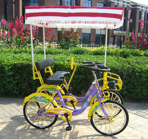 Bicicletta Surrey per 2 Persone/Bicicletta <span class=keywords><strong>Tandem</strong></span> per 4 Persone Produzione di Fabbrica - Product Image 6