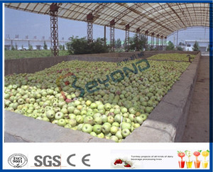 كاملة برتقالي/أبل/مانجو تجهيز آلة/خط الانتاج/الرمان ماكينة عصر - Product Image 2