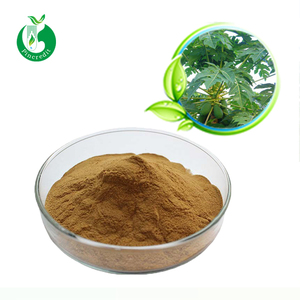 イラクサ葉エキスパウダー - Product Image 2