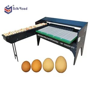 High Efficiency Egg Grading and Sorting Machine for Sale