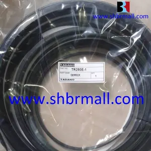 Lengkap Derrick Silinder untuk <span class=keywords><strong>Tadano</strong></span> <span class=keywords><strong>TL250E</strong></span>-3/<span class=keywords><strong>TL250E</strong></span> Crane - Product Image 1