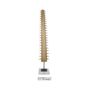卸売アクリルベース樹脂製サメの歯化石彫刻装飾品 - Product Image 3
