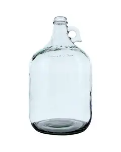Một Gallon Thủy Tinh Trang Trí Jug/Vase/Chai Với Xử Lý