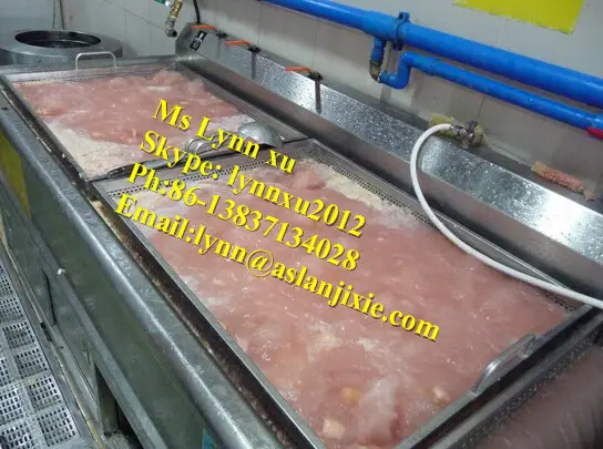 frozen meat thawing machine/meat washing machine