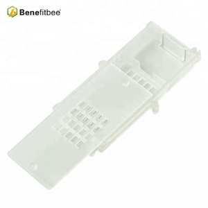 Gabbia per Ape Regina in Plastica in Offerta - Product Image 1