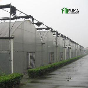 <span class=keywords><strong>Invernadero</strong></span> agrícola hidropónico comercial FM en venta - Product Image 5