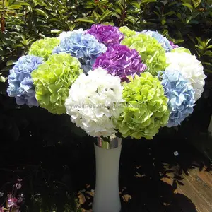 Yiwu Aimee usine vente directe blanc hortensia fleurs coupées d'hortensia conservées (AM-YD037)