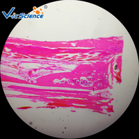 Quality Human Teaching Microscope Histology Prepared Slides (100kinds)