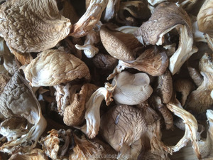 Detan Séché <span class=keywords><strong>Pleurotus</strong></span> <span class=keywords><strong>Ostreatus</strong></span> Prix - Product Image 5
