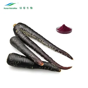 Natural Health Supplement Black Carrot Extract Powder P.E. Black Carrot Color Pigment