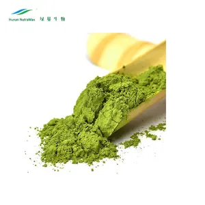 Green Tea Powder with Ratio 10:1 Green Tea Extract Powder