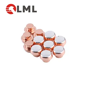 Electrical Contact Points Custom Rotating Electrical Contact Copper Magnetic Contact Rivet Slide Electrical Contact Points