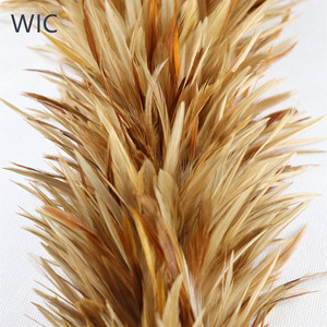 Rửa sạch Tự Nhiên Cock Saddle Feather Khăn Lau Bụi - Product Image 1