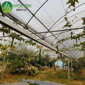 <span class=keywords><strong>La</strong></span> <span class=keywords><strong>casa</strong></span> <span class=keywords><strong>verde</strong></span> agrícola/comercial Multi Span más barata - Product Image 6