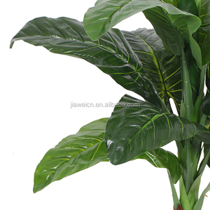 <span class=keywords><strong>Planta</strong></span> artificial <span class=keywords><strong>de</strong></span> <span class=keywords><strong>elefante</strong></span> para decoración del hogar, árbol <span class=keywords><strong>de</strong></span> dieffenbachia, venta al por mayor, 2021 - Product Image 3