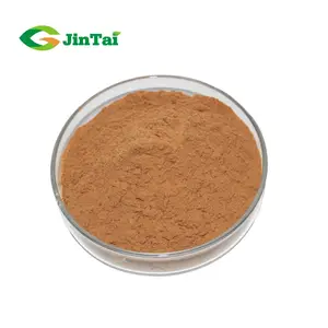 L-theanine 98 Green Tea Leaf Extract Powder L Theanine Powder L-theanine Green Tea Extract