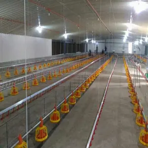 Alimentadores y bebederos para aves de corral, granja de pollos, gran oferta, 2022