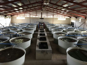 <span class=keywords><strong>Pisciculture</strong></span> professionnelle RAS - Product Image 6