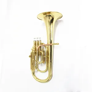 Wholesale Chinese Beginner Gold Lacquer Eb For Sale Alto Horn