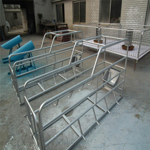 Gestación cajón/sembrar la barra de posicionamiento en equipos avicultura la cerda Mesa obstétrica - Product Image 6