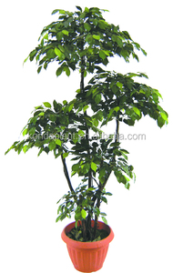 Macetas de plantas de hoja perenne árbol de ficus Artificial para la venta artificial al aire libre - Product Image 3