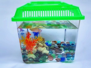 OEM <strong>Plastic</strong> <strong>Fish</strong> <strong>Tank</strong>,Turtle Box, Clear Portable Crab cage - Product Image 4