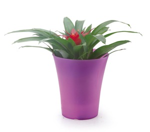 2020 nouvelles Inventions Amovible Pot de <span class=keywords><strong>Fleur</strong></span> En Plastique Nouveau Produit De Technologie En Chine - Product Image 2