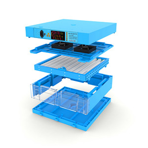 Máy ấp trứng và Máy ấp trứng-JF-64 mô hình kỹ thuật số hoàn toàn tự động - Product Image 3