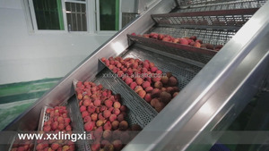 Uitstekende Lychee Dunschiller en Pitter Machine Lychee Sap Maken Machine