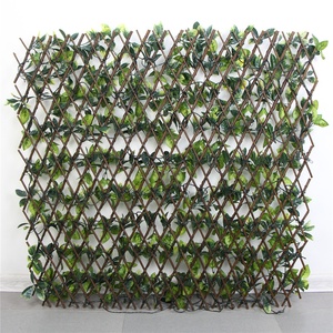 2019 nouveau design l'expansion saule <span class=keywords><strong>treillis</strong></span> clôture décoration murale confidentialité <span class=keywords><strong>treillis</strong></span> haie - Product Image 1