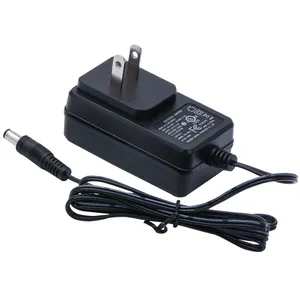 Input 100 240v 50/60hz DOE VI Rohs Compliant Output 12volt 1000ma Power Supply Adapter 12w 12v 1a AC/DC power adaptor