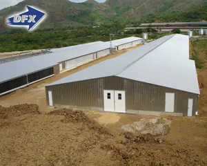 강철 지붕 절연제 가금류 농장 건축재료 닭 육계 집 디자인