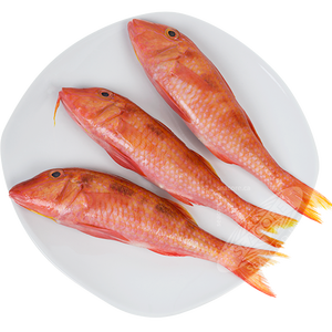 red mullet fish for sale-red mullet fish for sale manufacturers