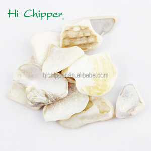 Hola Chipper aplastado <span class=keywords><strong>madre</strong></span> de perla shell chips para ingeniería de piedra Decoración - Product Image 6