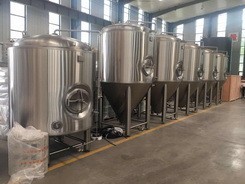 100l 500l 2000l brew nhà lên men 304 thép không gỉ quá trình lên men hệ thống - Product Image 3