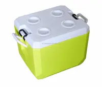 China Biometer 30L Mini Portable Cooling Box Freezer Box factory and  manufacturers