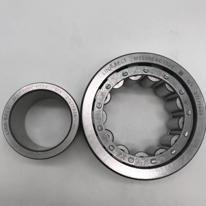 MA5308EX Link-Riem (Rexnord) Cilindrische Rollagers MA5308EXC1020 - Product Image 4