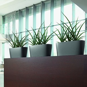 Planteur de bureau en plastique, sous vide, pot de fleurs, vase en verre, pour plante de jardin, vente en gros, injection, vente en gros - Product Image 6
