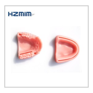Modèle anatomique dentaire humain, coussin d'entraînement dentaire pour la pratique de la suture, en PVC et silicone - Product Image 3